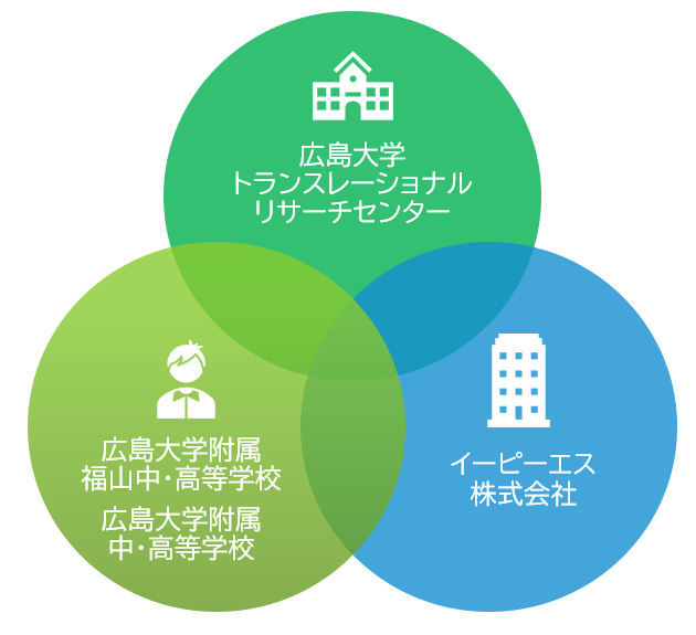 研究の進め方