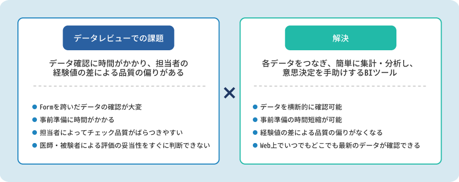 データレビュー用帳票(BIツール)構築サービスのイメージ