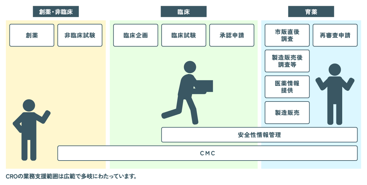 CROが支援する業務範囲の一例